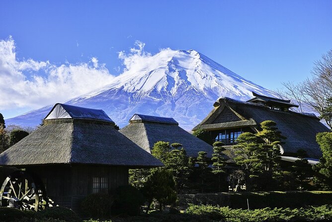 Mt Fuji :1-Day Private Tour With English-Speaking Driver - Exploring the Mt. Fuji Region