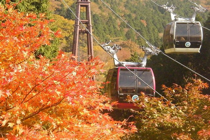 Mt Fuji and Ashinoko With Hakone Sightseeing Cruise 1 Day Tour - Bus Logistics and Group Size