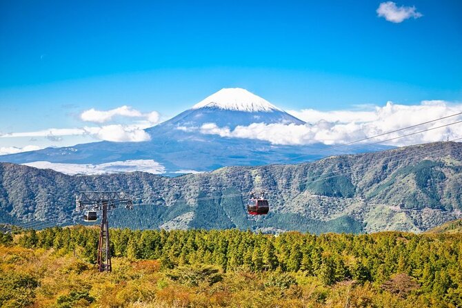 Mt. Fuji and Hakone Private Tour With English Speaking Driver - Date, Travelers, and Pickup Info