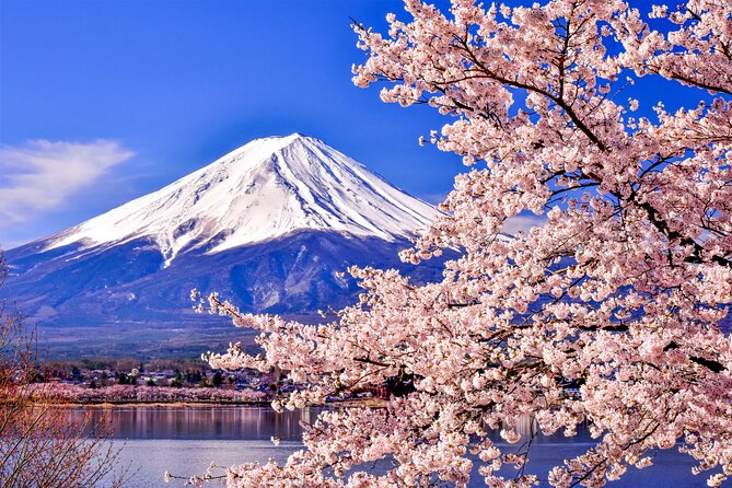 Mt. Fuji Cherry Blossom One Day Tour From Tokyo - Pricing and Inclusions