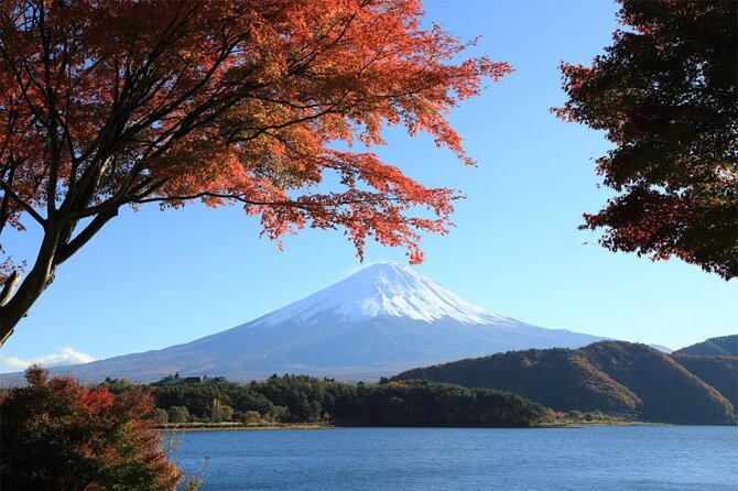 Mt. Fuji & Hakone 1 Day Bus Tour From Tokyo Station Area - Tour Inclusions