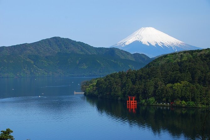 Mt. Fuji & Hakone Bullet Train 1 Day Tour From Tokyo Station Area - Environmental Efforts