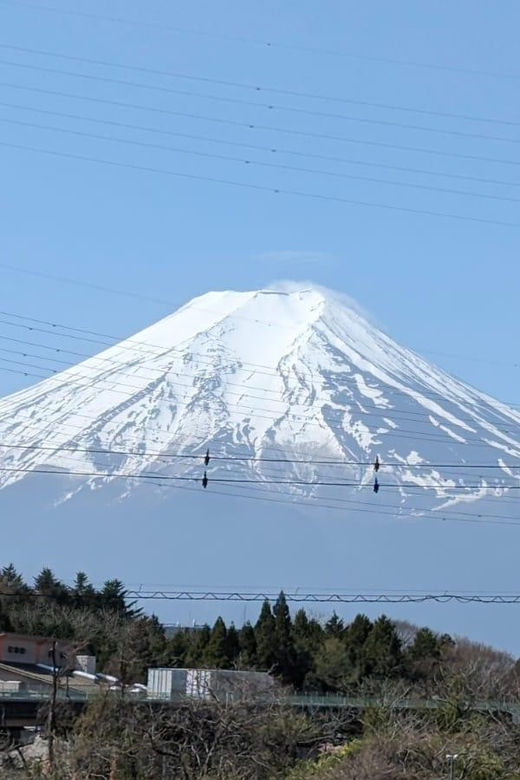 Mt Fuji & Hakone: Sightseeing Private Day Tour With Guide - Transportation