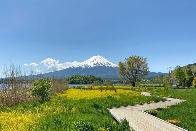 Mt Fuji Half-Day Tour By Car - Key Sightseeing Stops