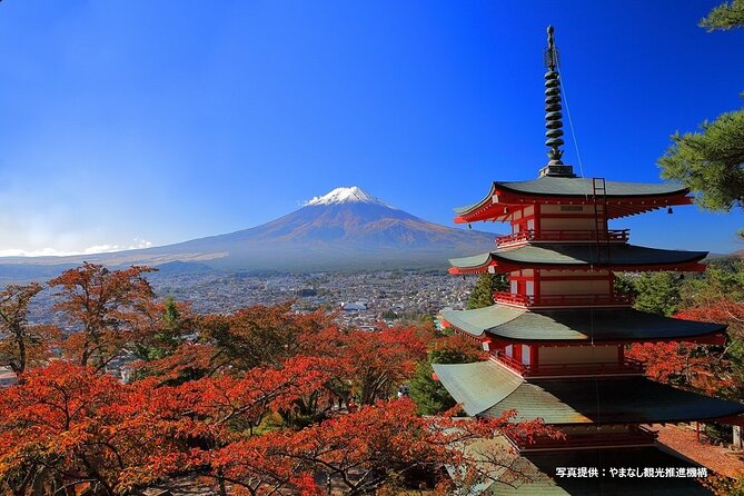 Mt.Fuji, Oishi Park & Arakurayama Sengen Park Bus Tour From Tokyo - Itinerary and Flexibility