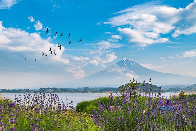 Mt. Fuji's Fifth Station & Lake Kawaguchiko Cycling Tour - Booking Confirmation and Availability