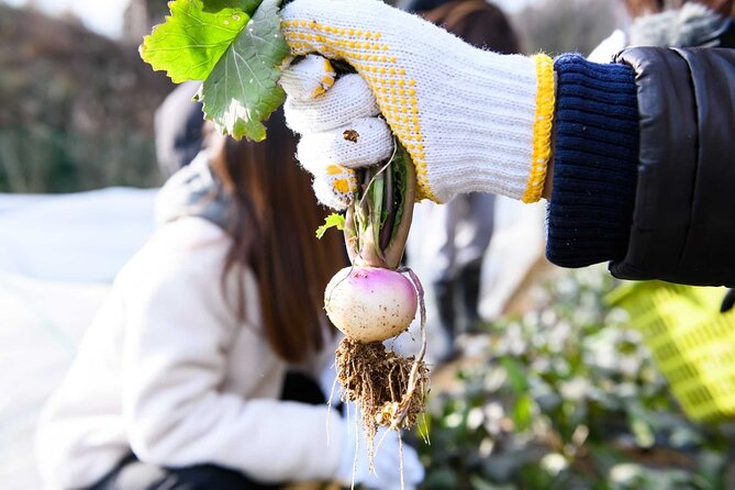 Nara : Farming Experience in a Beautiful Rural Village - Local Produce Tasting Experience