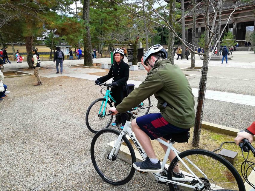 Nara: Nara Park Private Family Bike Tour With Lunch - Tour Itinerary