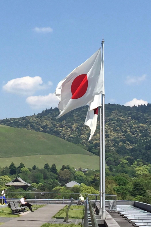 Nara: Private Guided Tour - Experience