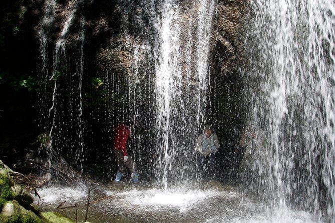 Nature Tour Around Waterfalls That Flow From the Beech Forest in Nishiwaga Town, Iwate Prefecture - Additional Info