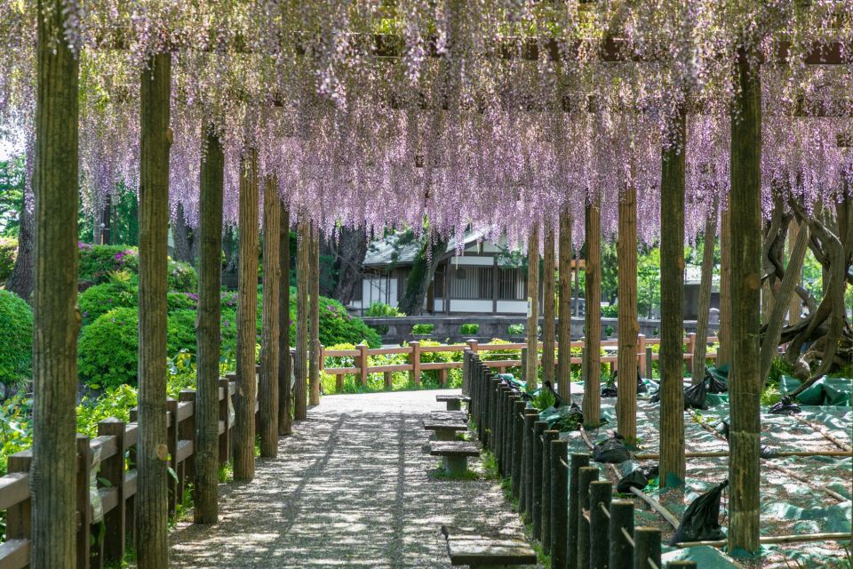 Odawara: Odawara Castle and Town Guided Discovery Tour - Tour Highlights