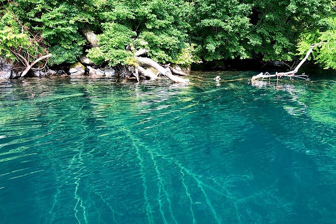 Oirase Gorge and Lake Towada Day Hike With Government-Licensed Guide - Included in the Tour