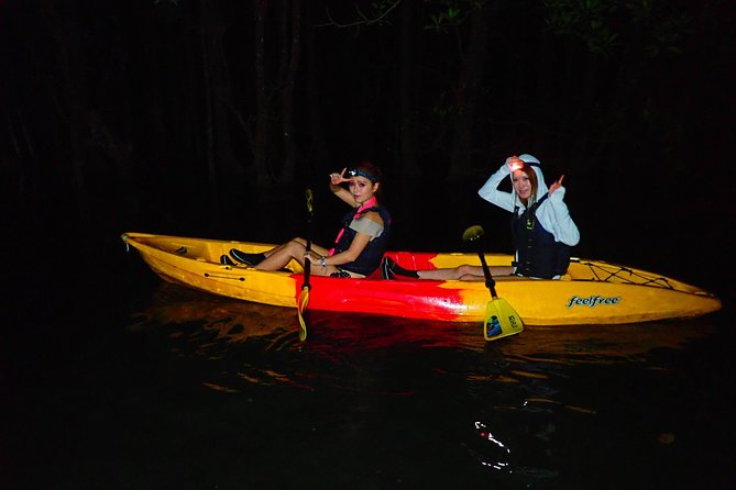 Okinawa Iriomote Night SUP/Canoe Tour in Iriomote Island - Infants and Medical Conditions