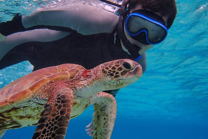 [Okinawa Miyako] [1 Day] Pumpkin Limestone Caving & Sea Turtle Snorkeling - Additional Information and Tips