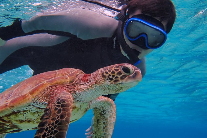 [Okinawa Miyako] SUP / Canoe Sea Turtle Snorkeling !! (Half-Day Course) - What to Expect on the Tour