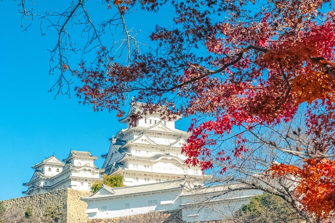 Osaka : Himeji Castle, Koko-en, Arima Onsen & Mt. Rokko Day Trip - Arima Onsen: Experience Authentic Hot Springs