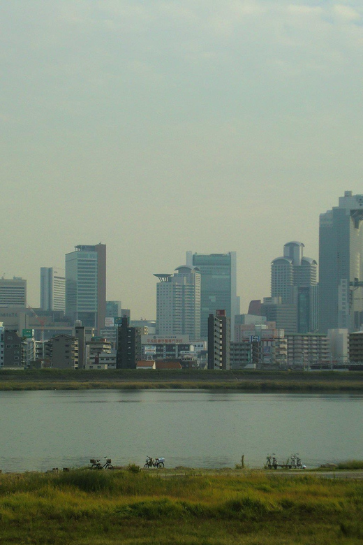 Osaka: Private Guided Tour of the Modern City - Activity Description