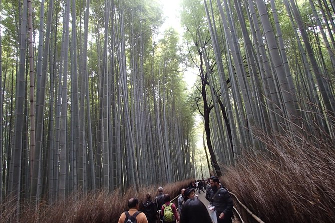 Private 1 Day Kyoto Tour Including Arashiyama Bamboo Grove and Golden Pavillion - Inclusions