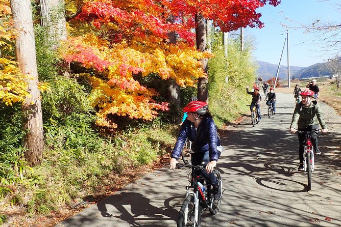 Private Afternoon Cycling Tour in Hida-Furukawa - Start Time