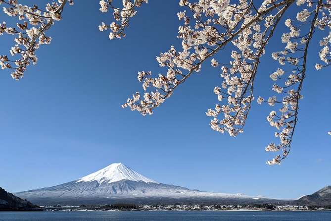 Private Car Tour to Mt. Fuji Lake Kawaguchiko or Hakone Lake Ashi - Booking and Logistics