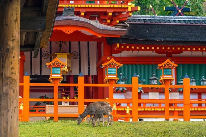 Private Customized 3 Full Days Tour Package: Discover Kyoto, Arashiyama and Nara - Destination Experiences and Sightseeing