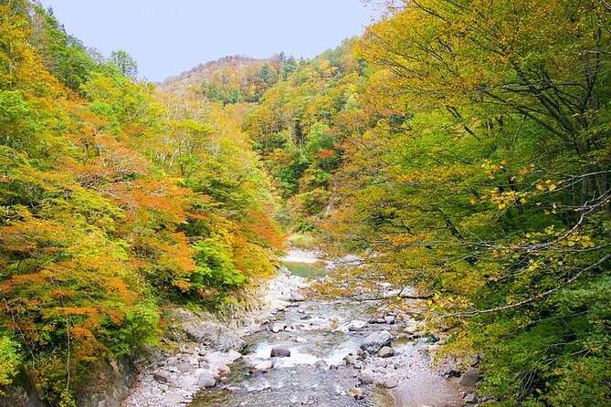 Private Karuizawa, Nagano Tour - Bilingual Chauffeur - Bilingual Chauffeur Services