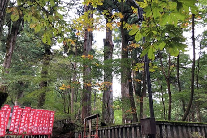 Private Morning Hike Around Nikko Toshogu Shrine - Inclusions