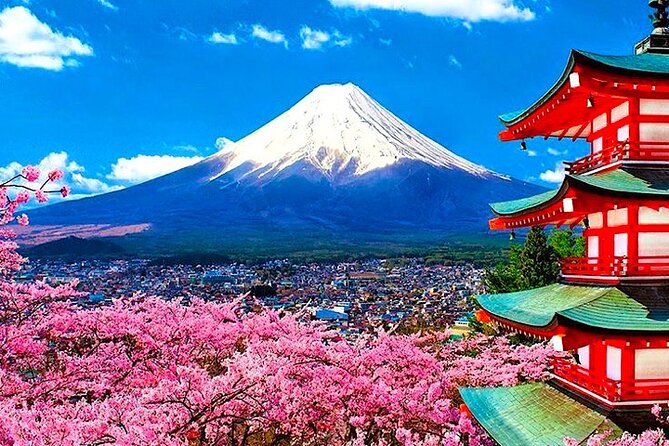 Private Mount Fuji and Hakone Sightseeing Day Trip With Guide - Cancellation Policy and Guidelines