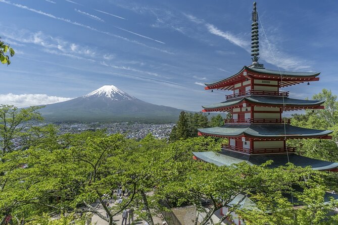 Private Mount Fuji Tour - Exclusions