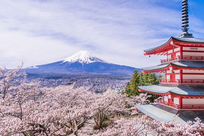 Private Mt. Fuji Custom Tour From Tokyo - Cancellation Policy and Refund Details