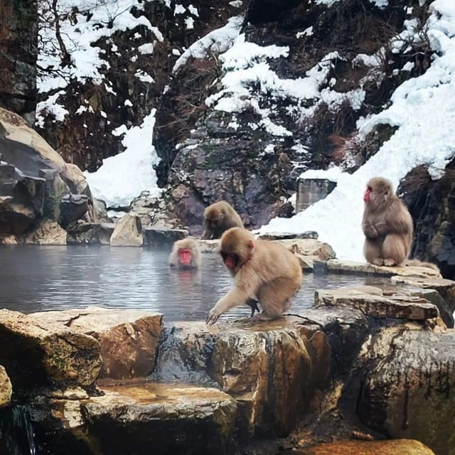 Private Snow Monkey Zenkoji Temple Sightseeing Day Tour - Inclusions and Itinerary