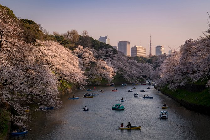 Private Tokyo Photography Walking Tour With a Professional Photographer - Pricing and Meeting Point