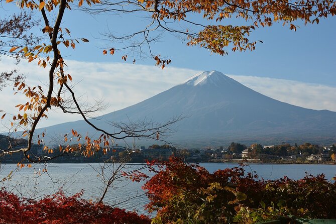 Private Tour in Mt Fuji and Hakone With English Speaking Driver - Customizable Itineraries