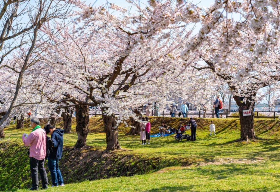 Private & Unique Nagasaki Cherry Blossom Sakura Experience - Tour Details