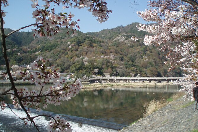 Private Walking Tour in Bamboo Forest & Hidden Spots in Arashiyama - Departure Point Information