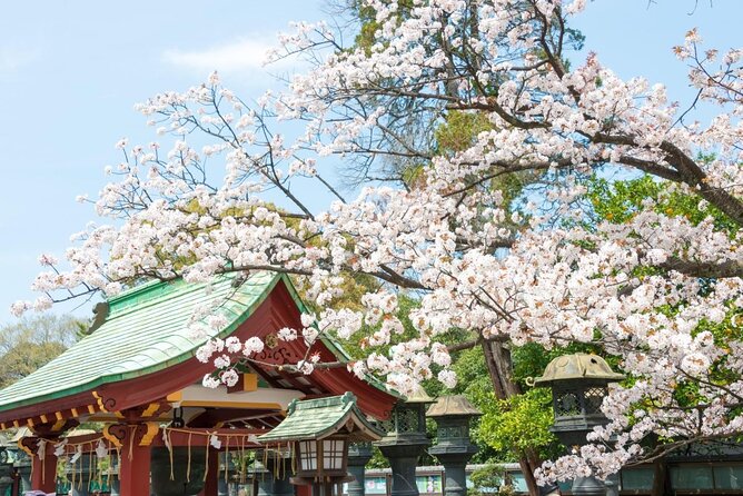 Secret Food Tours Tokyo W/ Private Tour Option - Tour Overview