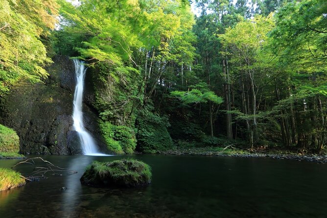 Shirakami-Sanchi: Private Day Hiking Tour 2024 - Aomori Prefecture - Inclusions and Exclusions