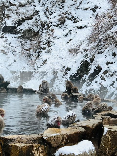 Snow Monkeys Zenkoji Temple One Day Private Sightseeing Tour - Additional Information