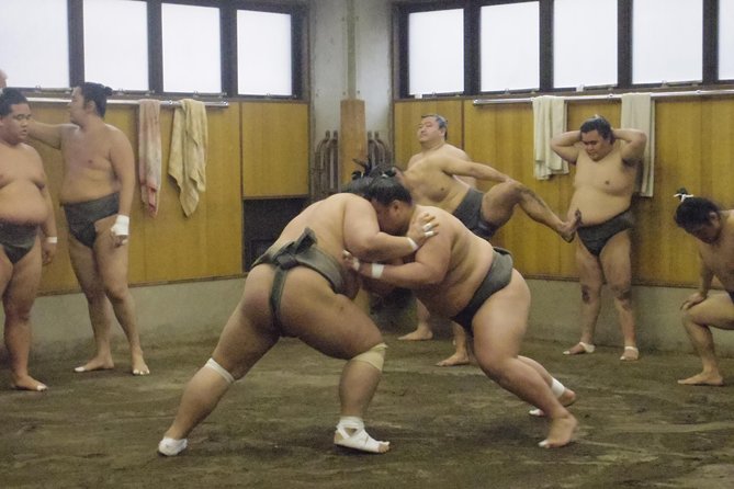 Sumo Morning Practice Tour at Stable in Tokyo - Visitor Recommendations