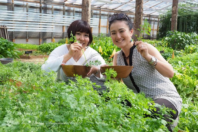 Taste the Seasonal Taste of Karuizawa - Karuizawa Gourmet Farm Pottering - Additional Info