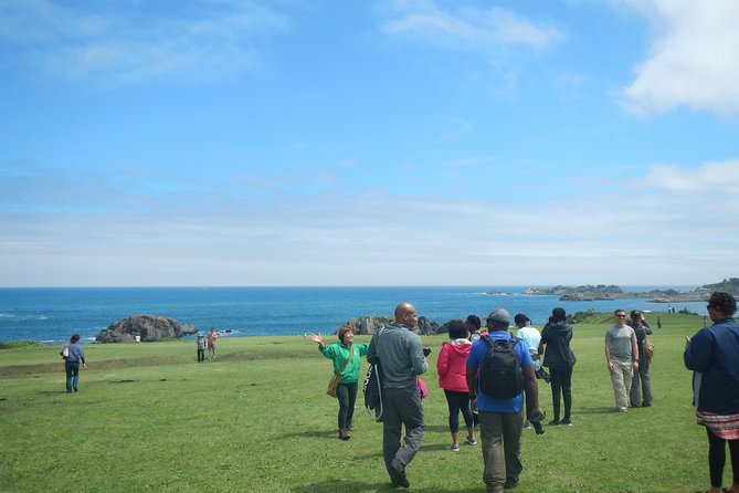 The Best Morning and Michinoku Shiokaze Trail Trekking in the Tanesashi Coast Natural Grassland - Tour Details