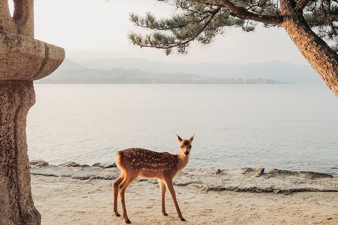 The Peace Memorial to Miyajima : Icons of Peace and Beauty - Tour Information