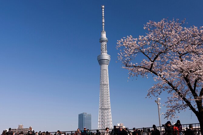 Tokyo Asakusa Half Day Walking Tour With Local Guide - Booking and Confirmation Details