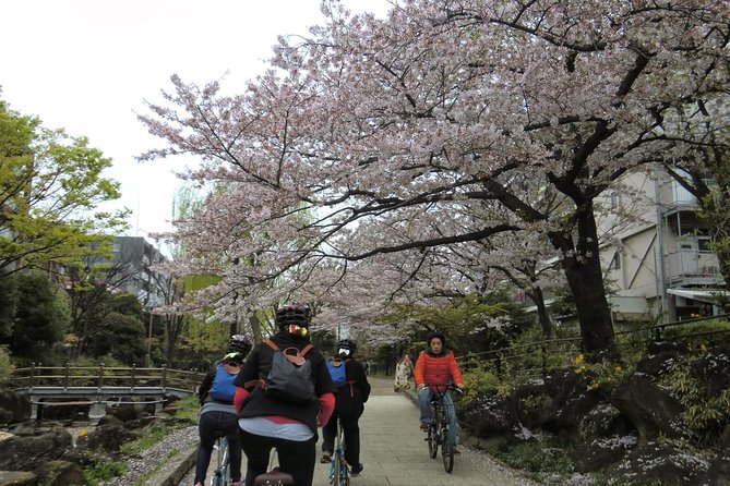 Tokyo by Bike: Skytree, Kiyosumi Garden and Sumo Stadium - Rider Requirements and Restrictions