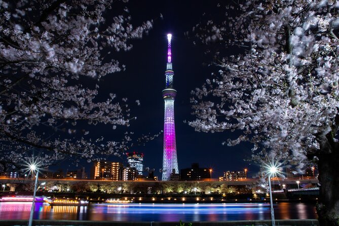 Tokyo Cherry-Blossom Viewing Traditional Dinner Cruise - Inclusions and Amenities