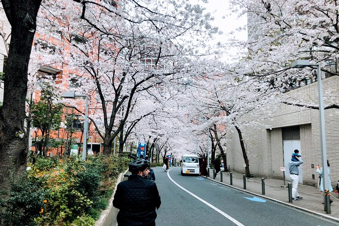 Tokyo Cherry Blossoms Blooming Spots E-Bike 3 Hour Tour - Visitor Reviews