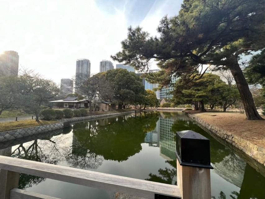 Tokyo : Japanese Garden Guided Walking Tour in Hama Rikyu - Activities