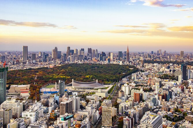 Tokyo Layover Tour With Licensed Guide & Vehicle: NRT Airport Dep - Accessibility and Amenities Offered