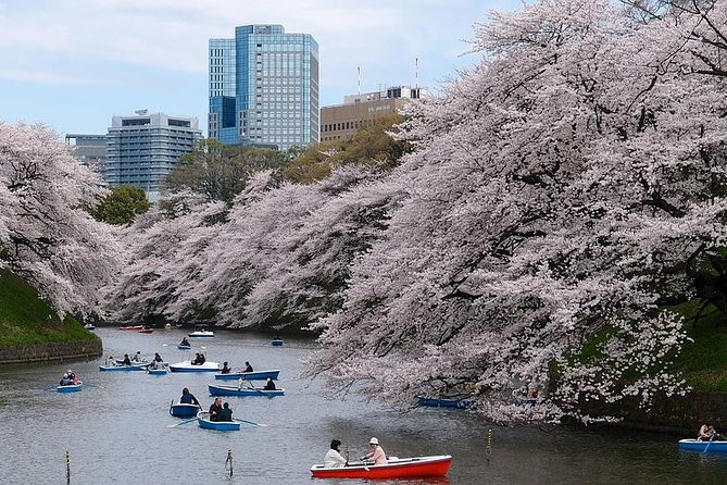 Tokyo Like a Local: Customized Private Tour - Tour Overview and Highlights