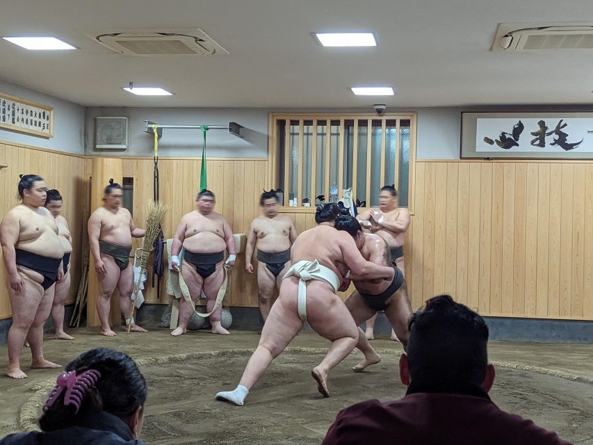 Tokyo: Morning Sumo Practice Viewing - Experience Highlights